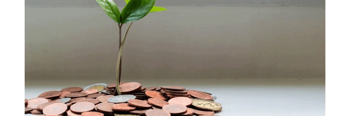 investing in annuities